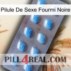 Black Ant Sex Pill viagra3